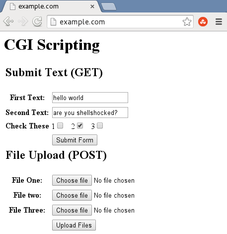 Understanding the Shellshock Vulnerability (Example)